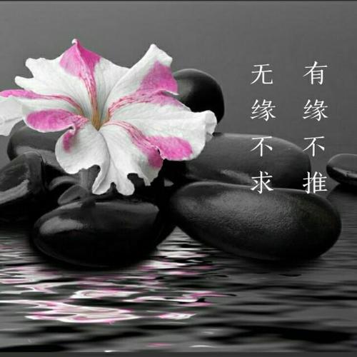 早安心语：如果你注定要走，就不要推；如果你不这样做，不要问