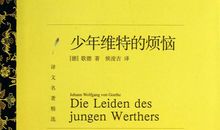少年维特之烦恼读后感1000字