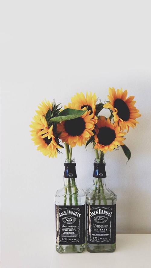 晚安由衷的话语：与其关心别人的背叛和无礼，不如管理自己的尊严和美丽。