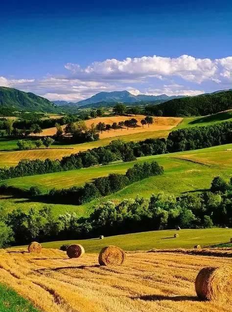 拒绝别人，越简单越好