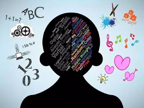 关于大脑和记忆力的20个技巧