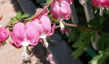 经典语录：有心者有所累，无心者无所谓