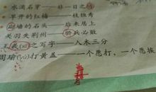 小学四年级谚语大全