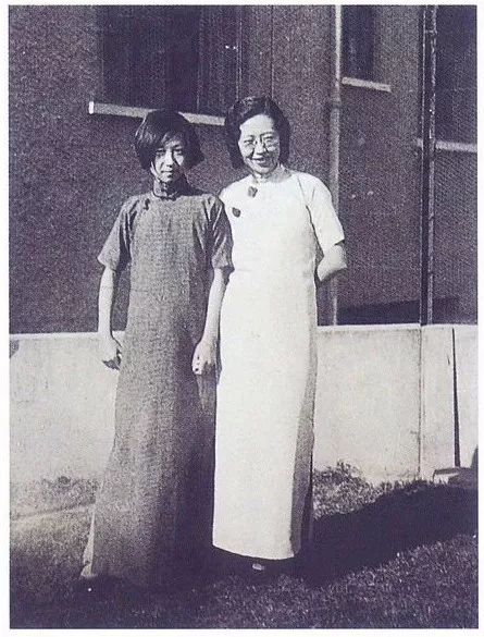 张爱玲：釉面砖