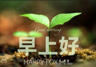 早安讯息：有些人似乎原谅您，但您已经是一个陌生人