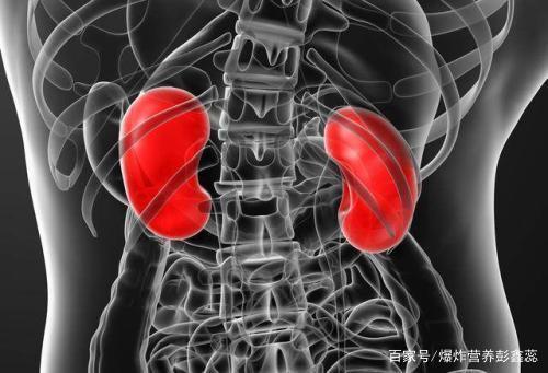 爱与恨，美丽丑陋的谚语