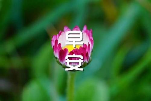 早安信息：任何人都喜欢独处，但又对失望感到厌烦