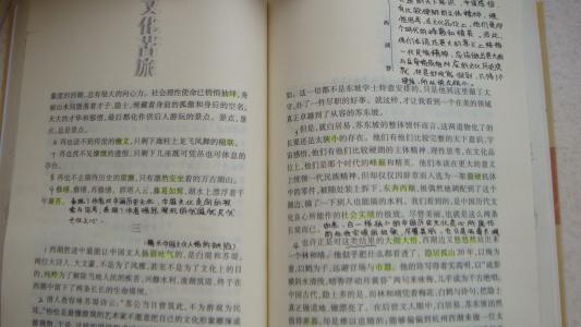 文化学习后200字