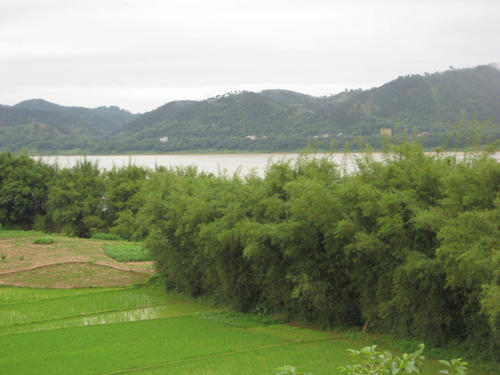 美好的故乡风光