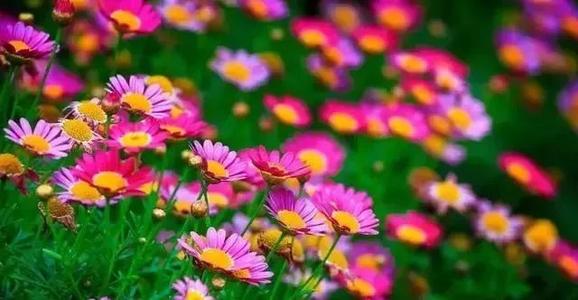 早安讯息：您喜欢的人可以远距离观看