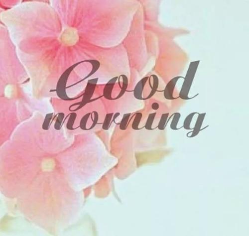 早安讯息：即使您还活着，您也必须是理想的卧底特工