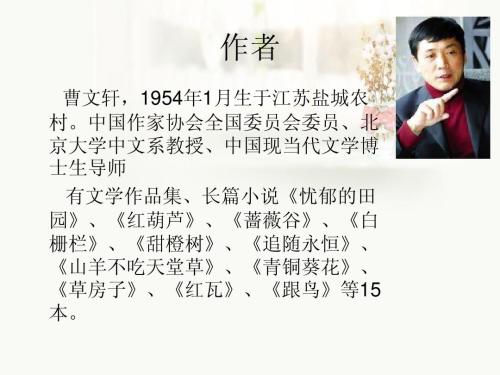 一段描述小草的好文章