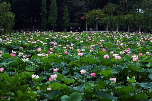 经典语录：一种感觉叫做思念，一种放弃叫做完美。