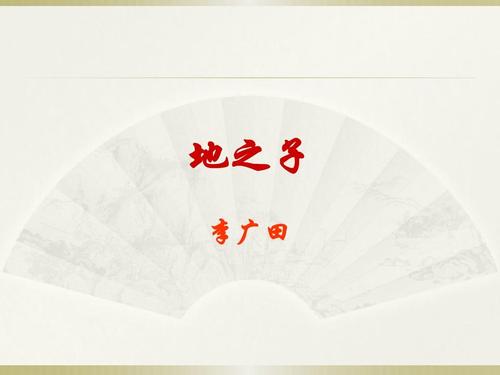 李光天：土地之子