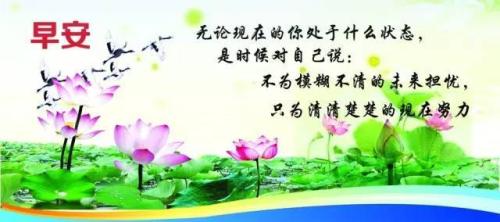 早安信息：天空无尽，所以我让农建郎