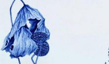 罗兰：知足常乐