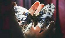 罗兰：待人贵超然