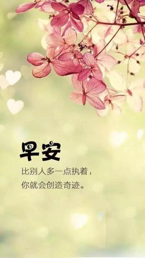 早安的想法:未来不受欢迎,过去不相爱,在现在过得好