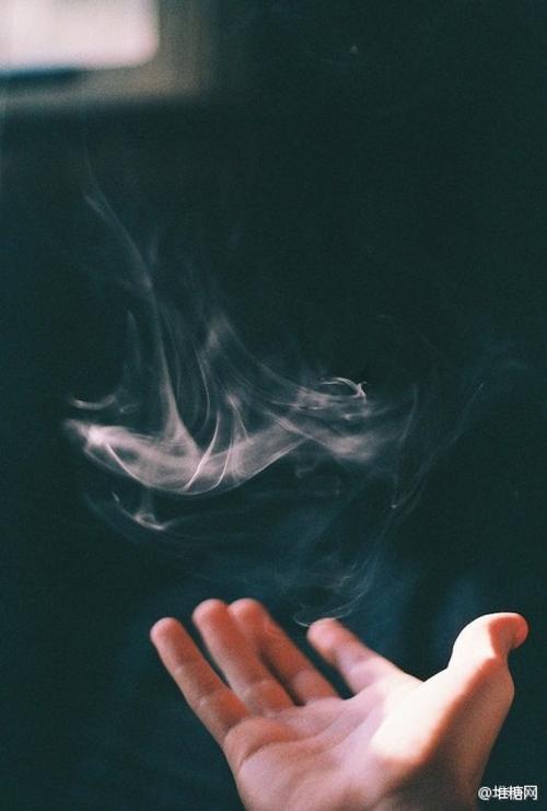 张小贤：“老公”这种动物