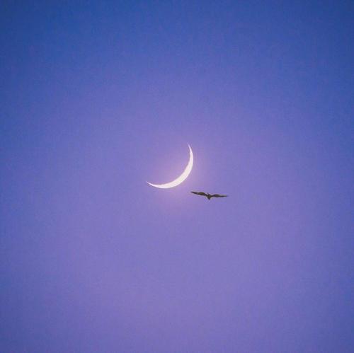 早安心语：生活总是两难，但这只是和平问题