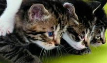 别再相信赢在起跑线上的谎言