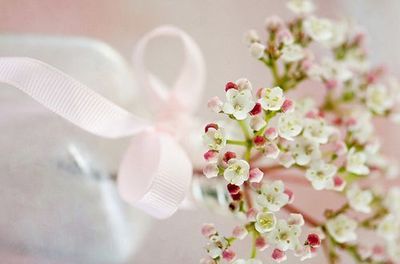 早安心语：好与不好是一回事，喜欢与否是另一回事