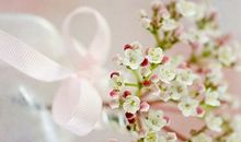 早安心语：好不好是一回事，喜不喜欢是另一回事