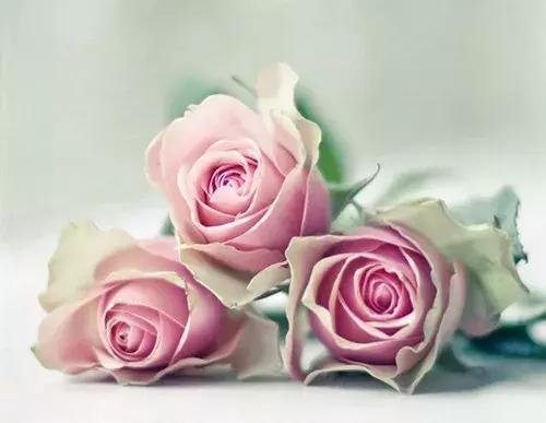 早安信息：世界还不错，我也不是很好