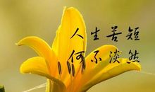 早安心语：只有笑的很欢，忧伤才不会被看穿