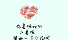 关于青春感悟的句子