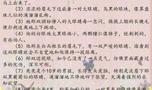 语文作文优美句子