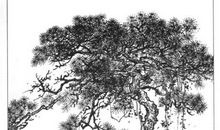 描写草木山水风光的诗句