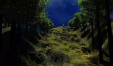 余光中：月光光