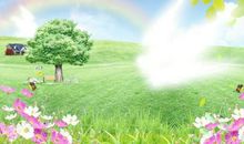 风景作文：最美的风景