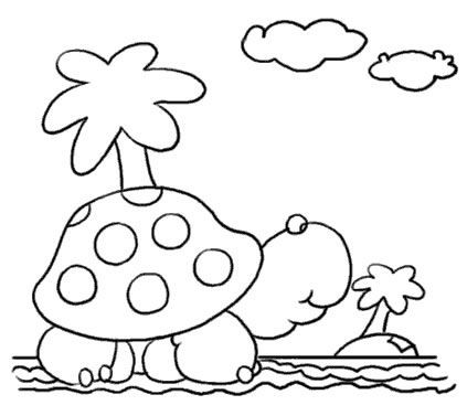 写动物组成：可爱的小乌龟