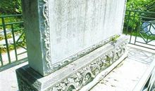 描写松树的诗词