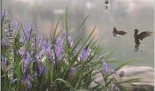 关于水的优美古诗句