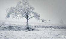 俞平伯：冬晚的别