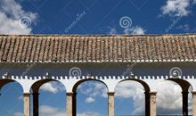 安·布拉谢尔名言