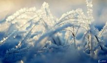 余光中：南半球的冬天