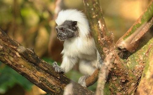 令人兴奋的陈述