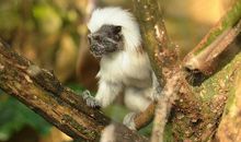 扣人心弦的语句