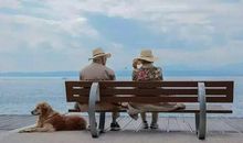 人就这么一生就应该这样过