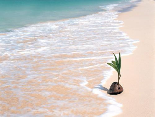 于光中：在满月下