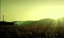 《田埂上的梦》观后感