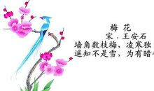关于梅花的诗词