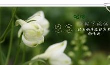 思念老公的短信