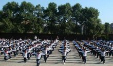 小学生广播体操口号