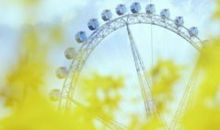 关于梦想的优美段落