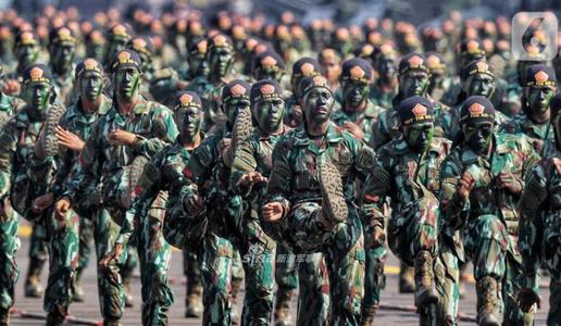 读《礁海满记》后的感想